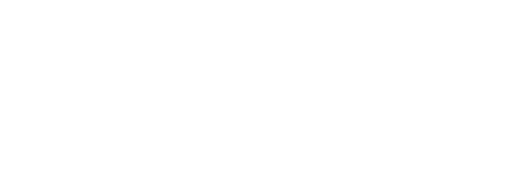 kampagne-logo_LIGHT_CMYK